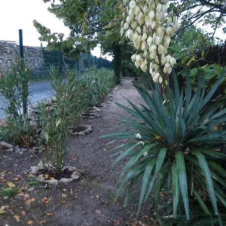 Bed and Breakfast Mas Myro